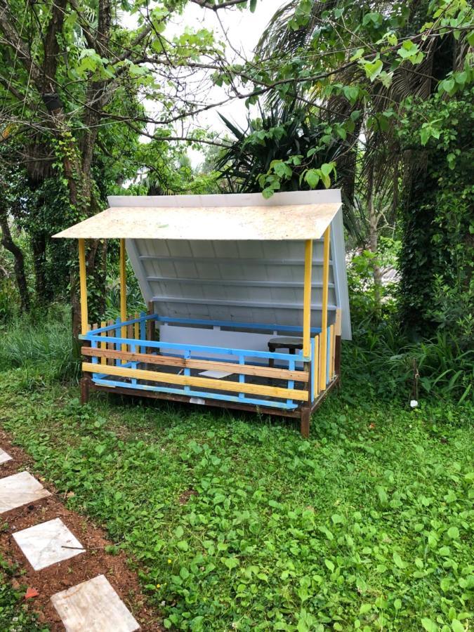 Hostel Eco Chakvi Ngoại thất bức ảnh