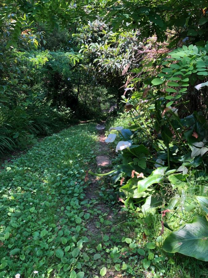 Hostel Eco Chakvi Ngoại thất bức ảnh