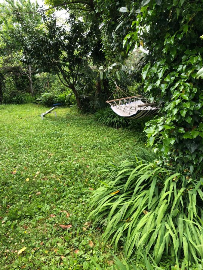 Hostel Eco Chakvi Ngoại thất bức ảnh